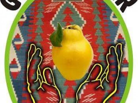 Mesleki Ve Dayanışma Dernekleri MANİSA GÖRDESLİLER DERNEĞİ
