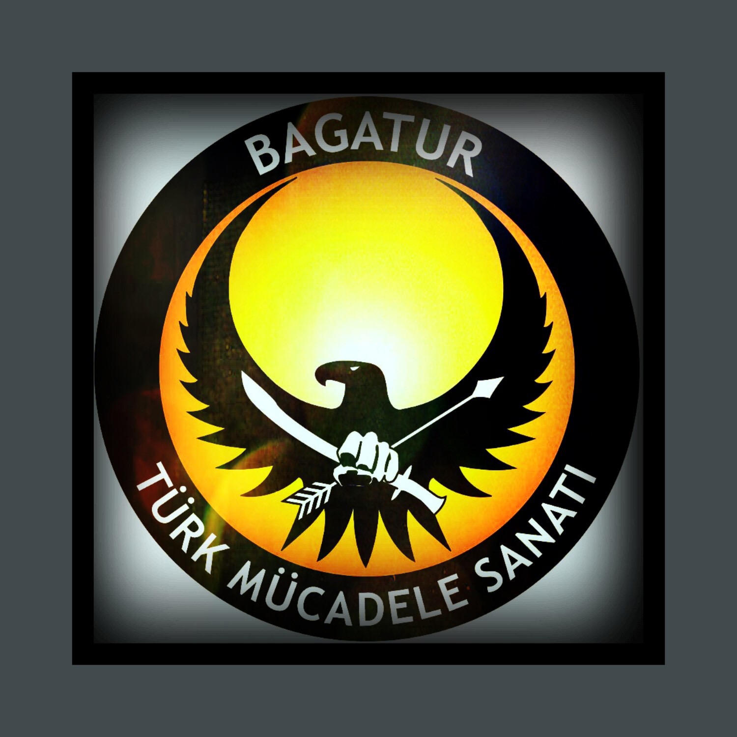 BAGATUR DÜNYA FEDERASYONU Dernek Başkanı HÜSEYİN  YABİR