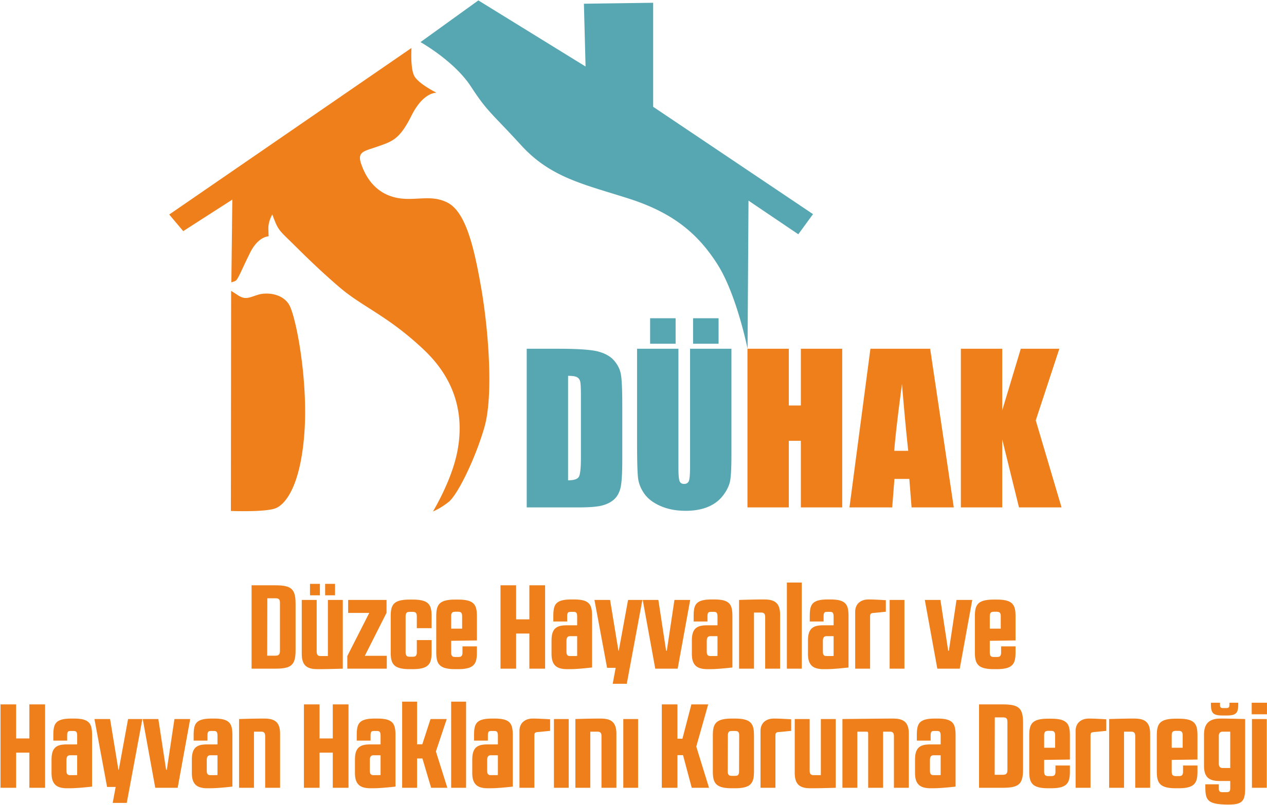 Düzce Hayvanları ve Hayvan Haklarını Koruma Derneği Dernek Başkanı Enes TUTKUN / Enes TUTKUN