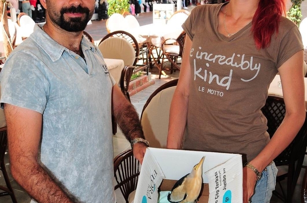 Nesli tükenen kuşa dernek başkanı sahip çıktı