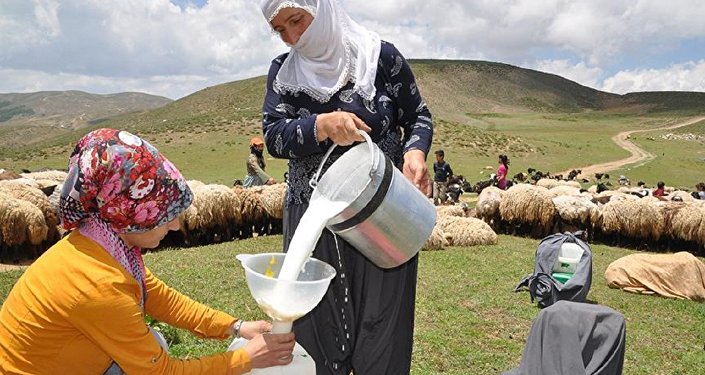 Tüm Süt Et ve Damızlık Sığır Yetiştiricileri Derneği Başkanı: Süte 50 kuruş zam geliyor